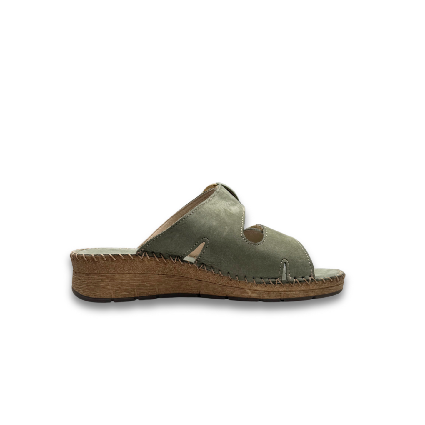 PALO CI1578-80 - Salvia