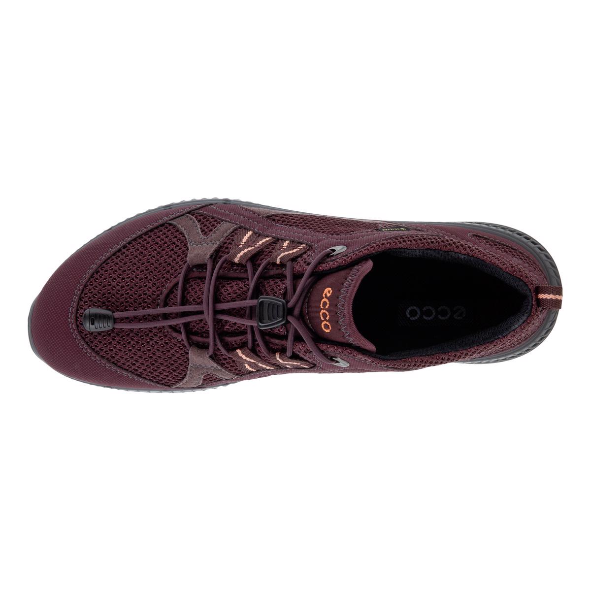 ECCO sneakers basse Terracruise II W - Rosso violaceo